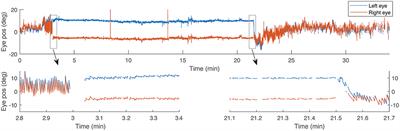 Visual Fixation and Continuous Head Rotations Have Minimal Effect on Set-Point Adaptation to Magnetic Vestibular Stimulation